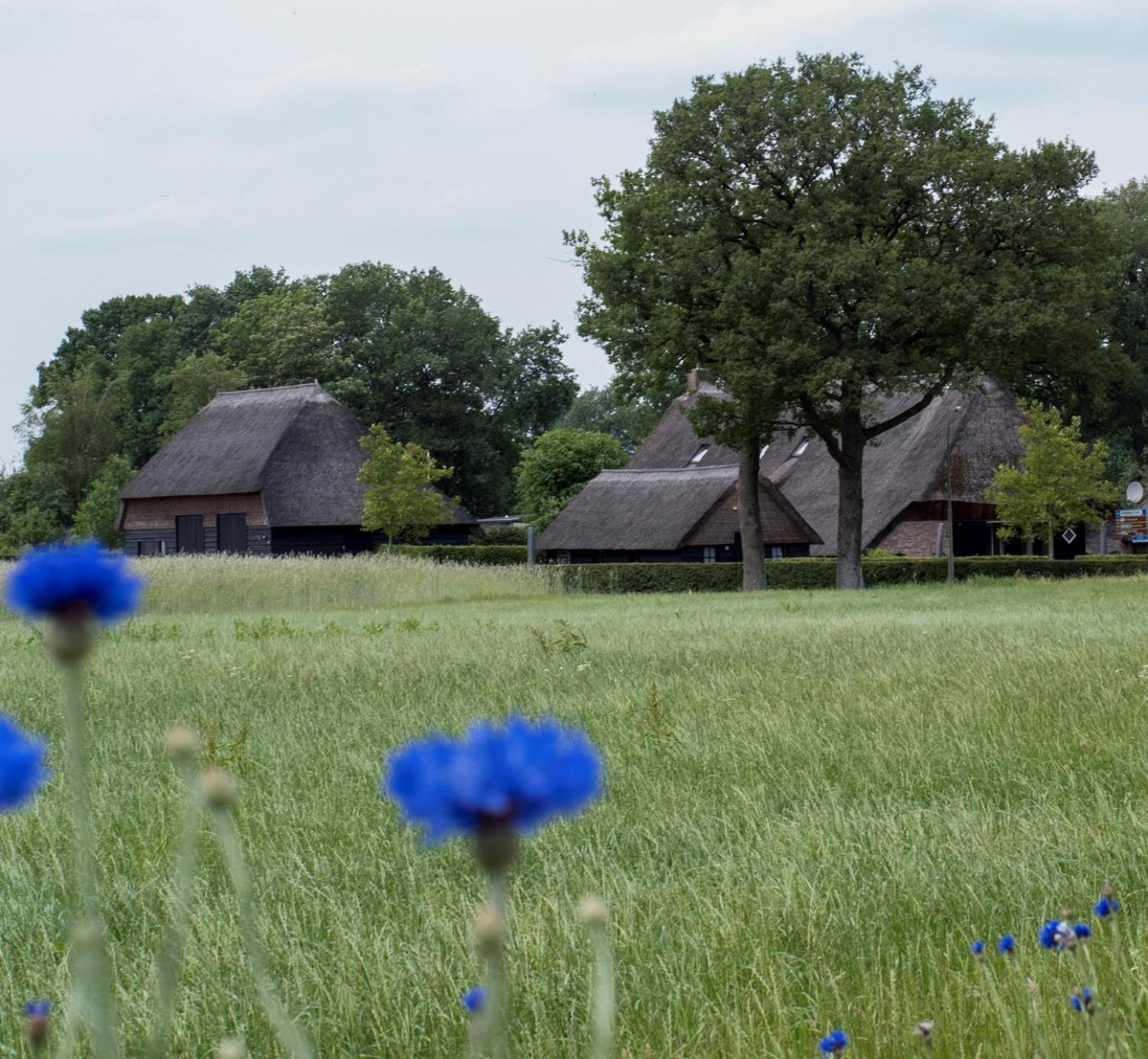 Gastenverblijf Lheederhof Lodge 3 Dwingeloo Exterior foto